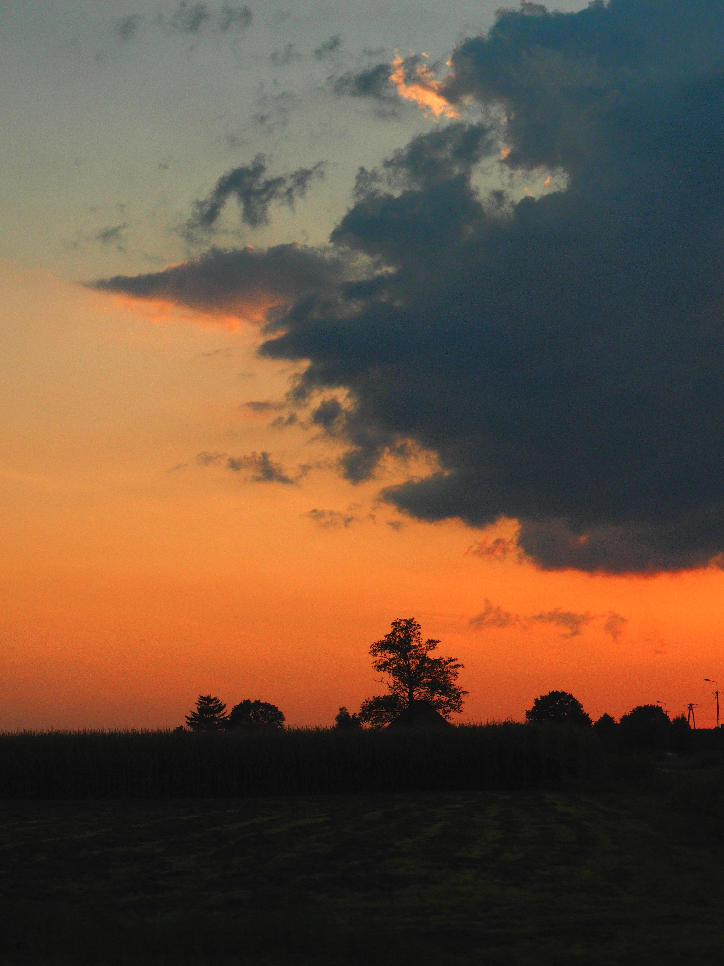 RedSky